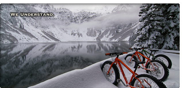 Tree Fort Bikes - we understand bicycling!